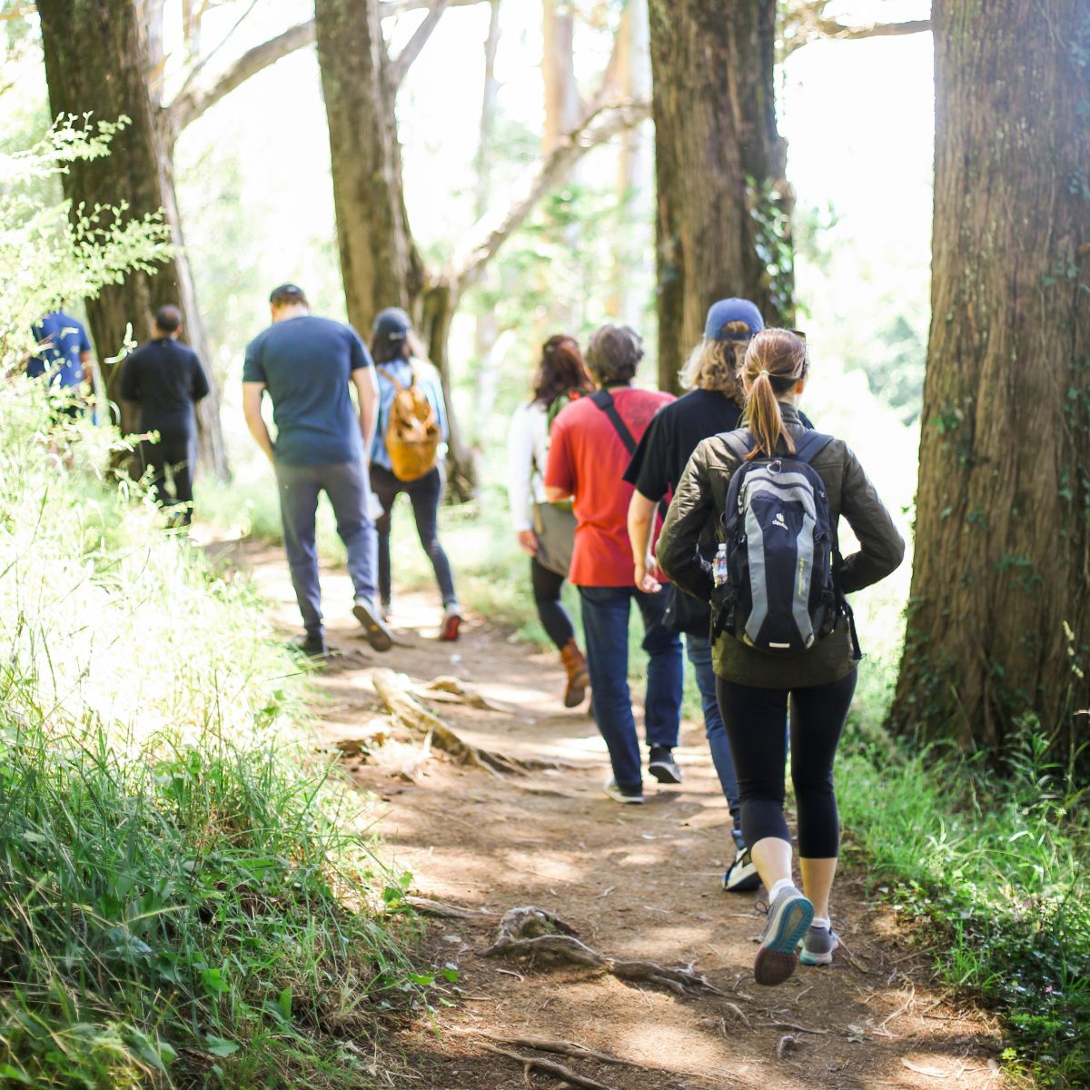 People hiking in a forest